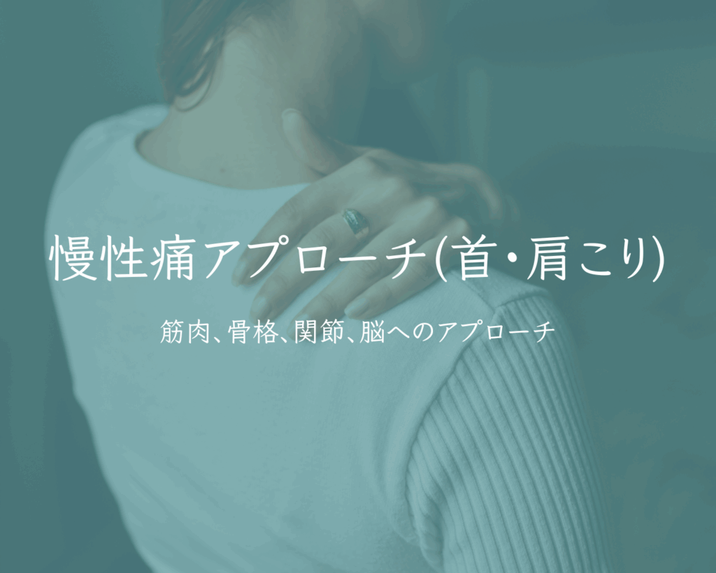慢性痛アプローチ(首・肩こり)
